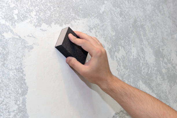 Best Environmental Consulting for Mold Prevention  in Lake Ketchum, WA