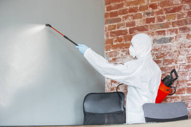 Best Commercial Mold Inspection  in Lake Ketchum, WA