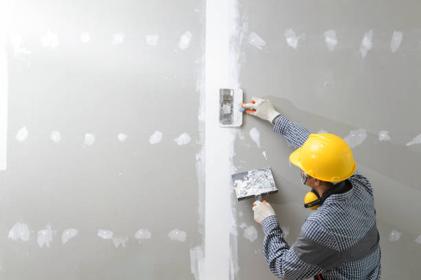 Best Mold Damage Restoration  in Lake Ketchum, WA