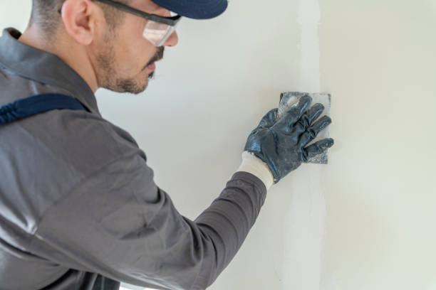Best Mold-Related Health Consultation  in Lake Ketchum, WA