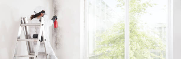 Best Post-Construction Mold Inspection  in Lake Ketchum, WA