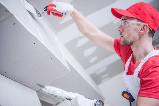 Best Mold Removal for HVAC Installations  in Lake Ketchum, WA
