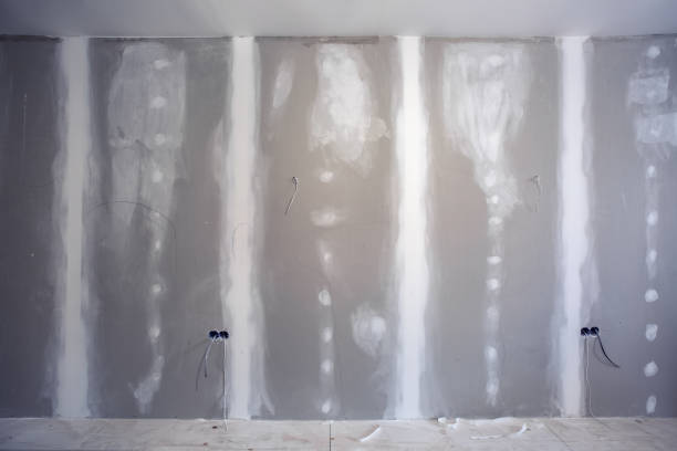 Best Industrial Mold Remediation  in Lake Ketchum, WA